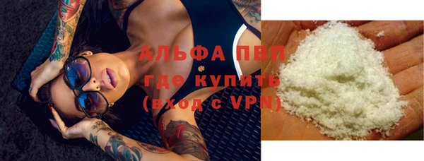 молекула духа Козельск