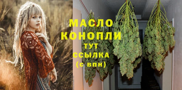 молекула духа Козельск