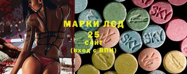 молекула духа Козельск