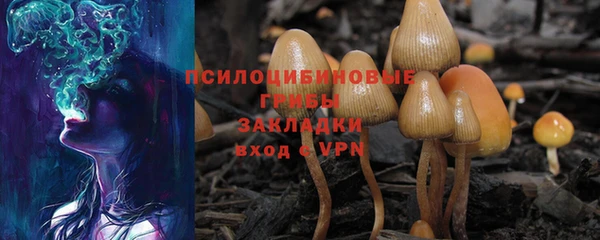 винт Козловка