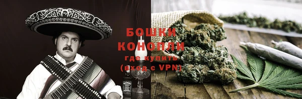 молекула духа Козельск
